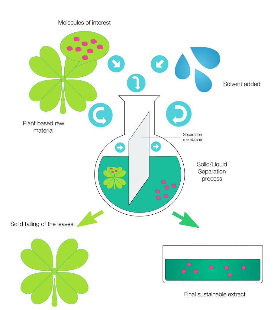 Home - Herbal Coatings